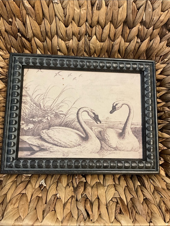 Other - Vintage Swan Illustration in Black Carved Frame